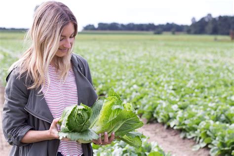 My day at a local vegetable farm - Heavenlynn Healthy