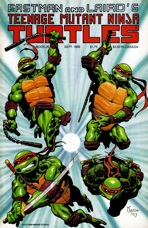 Teenage Mutant Ninja Turtles v1 025 | Read All Comics Online For Free