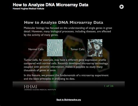 How to Analyze DNA Microarray Data Interactive for 9th - 12th Grade ...