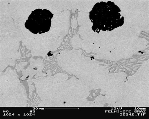 Austenitic cast iron