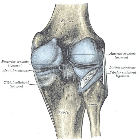 Posterior Knee Pain - Physiopedia