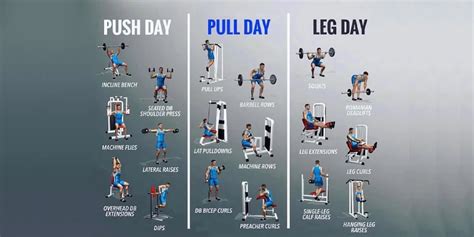 Push Pull Legs Routine | Yash Birla | Birla Healthcare