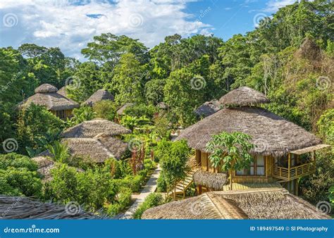 Amazon Rainforest Lodge Fog, Ecuador Stock Image - Image of adventure ...