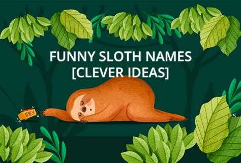 440+ Funny Sloth Names [Clever Ideas]