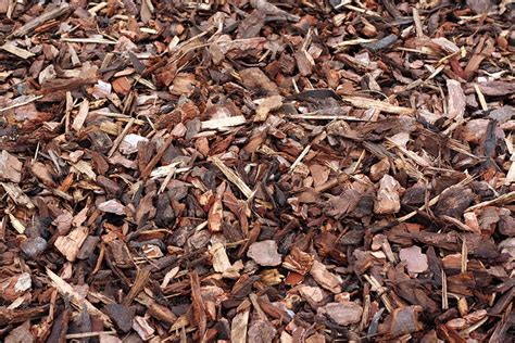 What is the Best Mulch? Benefits and Drawbacks of Various Mulch Materials