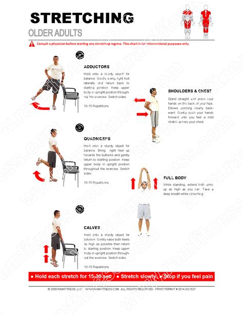 Pdf Printable Stretching Exercises For Seniors