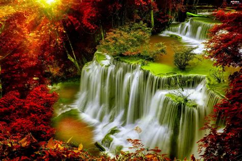 forest, autumn, waterfall - Beautiful views wallpapers: 3000x2000