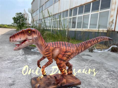 Jurassic Park Velociraptor Animatronic Mannequin For Sale - Geni TV