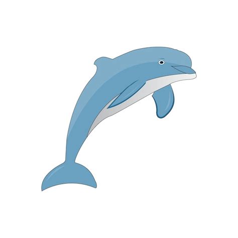 Premium Vector | Dolphin vector art design