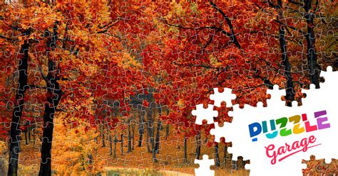 Autumn nature Jigsaw Puzzle (Nature, Forest) | Puzzle Garage