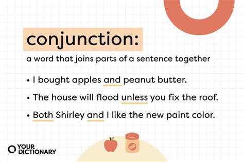 What Is a Conjunction? | Grammar Explained | YourDictionary