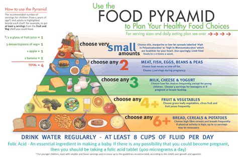 The Definition of Food Pyramid:Food Industry News