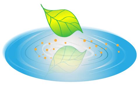 Brownian Motion of Particles Suspended in Liquid