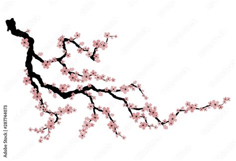 How To Draw A Cherry Blossom Tree Branch