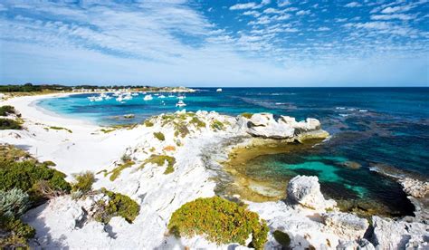 Spend a weekend on Rottnest Island - Australian Traveller