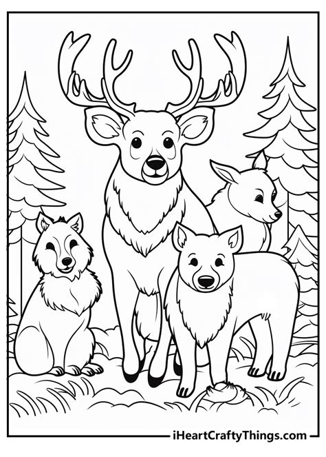 Woodland Animal Coloring Pages