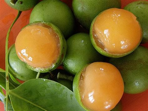 Quenepas: Health benefits and nutritional value