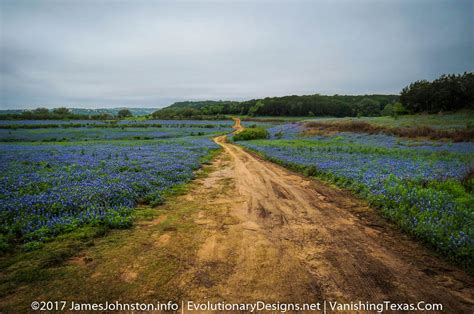 5 Texas Landscape Pictures - James Johnston