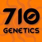 Leonarda (von 710 Genetics) :: Cannabis Sorten Infos