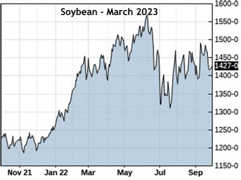 Monthly Grain Market Outlook | Weekly Crop Update