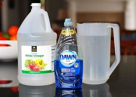 White vinegar, Dawn dish soap and a pitcher of water. | Nettoyer vitres ...