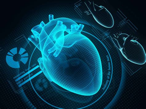 What Can A Heart Scan Detect? | How To Keep A Healthy Heart