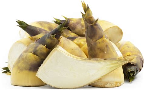 Fresh Bamboo Shoots Information and Facts