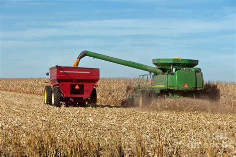 Combine Harvesting Corn Photograph by Inga Spence - Fine Art America