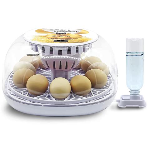 Buy Meuiosd Egg Incubator 12-24 Eggs Automatic Intelligent Incubators for Hatching Eggs，with ...