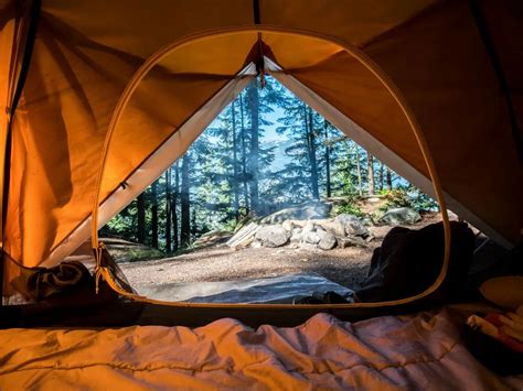 5 Types of Camping Trips for Adults - Wildland Trekking