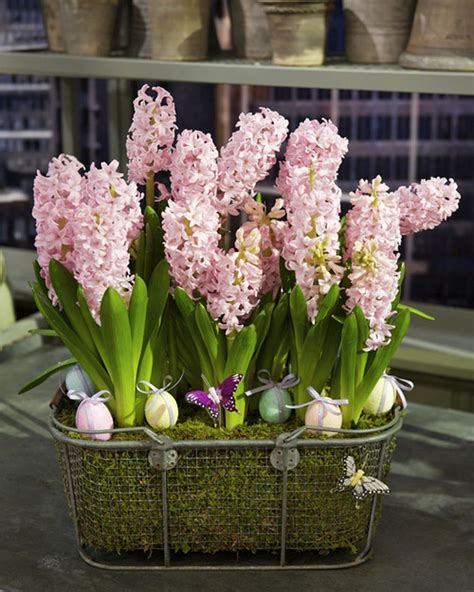 Spring Bulb Arrangement | Easter floral arrangement, Easter floral, Spring centerpiece