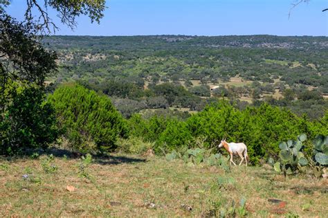 Hill Country Ranches For Sale | TexasLand