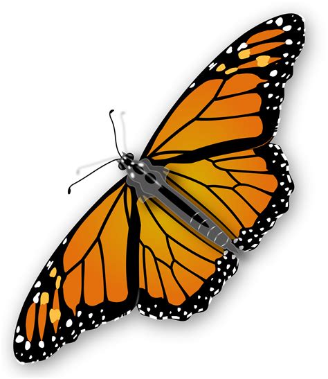 Clipart - Monarch Butterfly