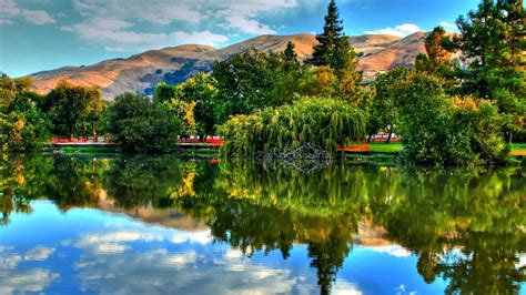 Download Lake Tree Reflection Photography Scenic HD Wallpaper