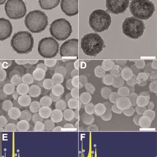 The structural characterization of ZrO2 and M-MZNs. (A) TEM images of... | Download Scientific ...