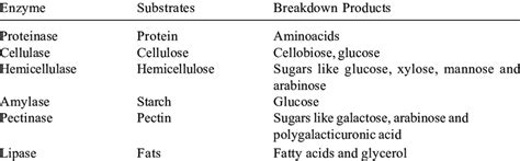 Some important hydrolytic enzymes and their function | Download ...