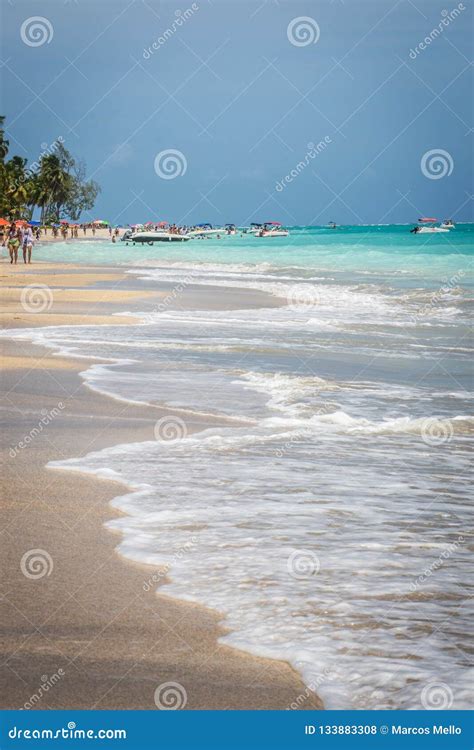 Beaches of Brazil - Maragogi, Alagoas Editorial Stock Photo - Image of brazil, horizontal: 133883308