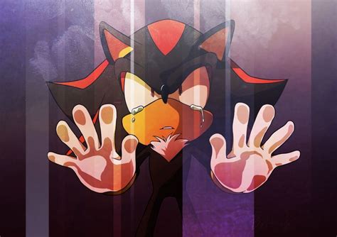 Pin by Rosângela Souza 🌸 on Shadow | Shadow the hedgehog, Sonic and shadow, Shadow and maria