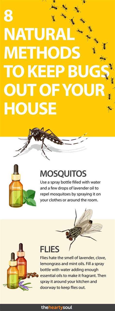 16 Plants That Help You Get Rid of Bugs | Insect spray, Insect ...