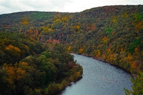 One Of The Top Roads For Fall Foliage Viewing Is In NY