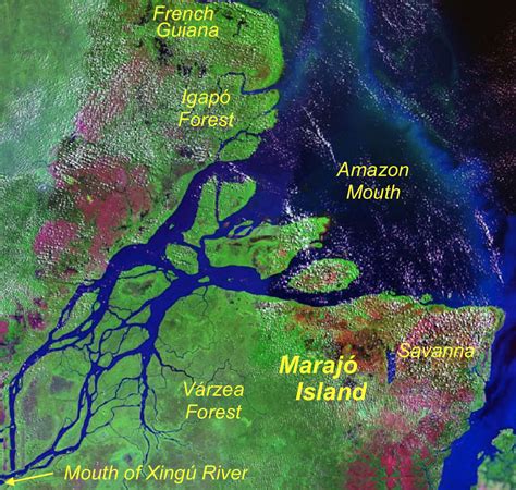 NephiCode: Why the Amazon River Has No Delta – Part II