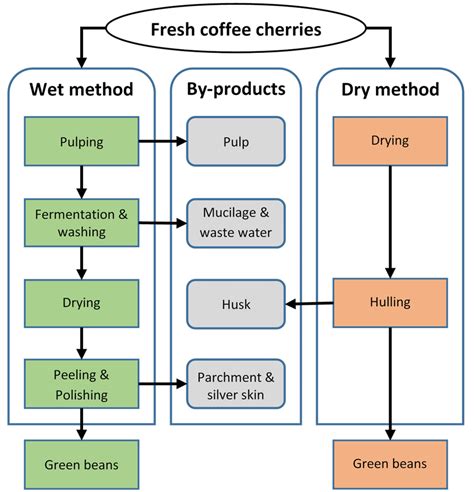 Primary coffee processing pathways to produce green beans following the ...