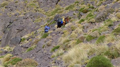 Toubkal Mountain Photo by | 12:12 pm 31 Oct 2016