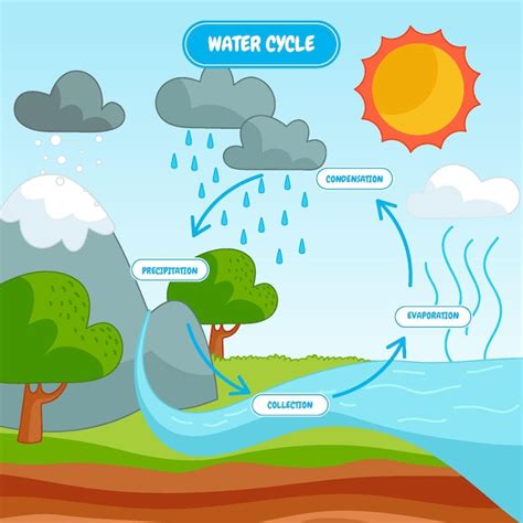 Free Vector | Hand drawn water cycle illustraation