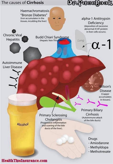 Pin on Anatomy