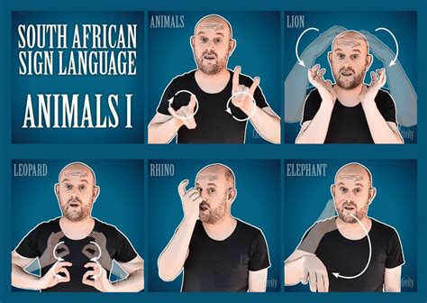 Man Shares the Gift of Sign Language with South Africa in Awesome Way