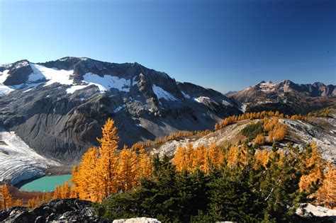 Ecology of the North Cascades - Wikipedia