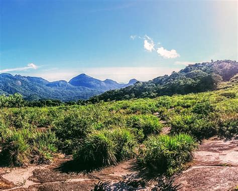 Hidden trails hike in Tijuca forest from Rio de Janeiro | OutdoorTrip