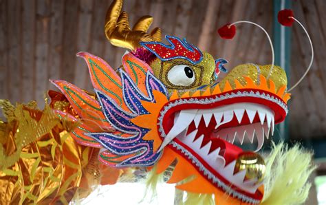 Chinese Dragon Dance to bring color, culture, power to 500 Parade