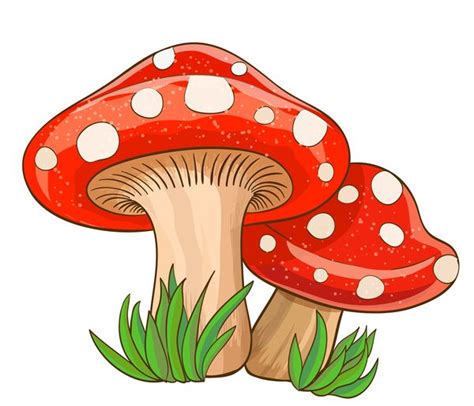 Cartoon mushrooms with grass vector 02 free download